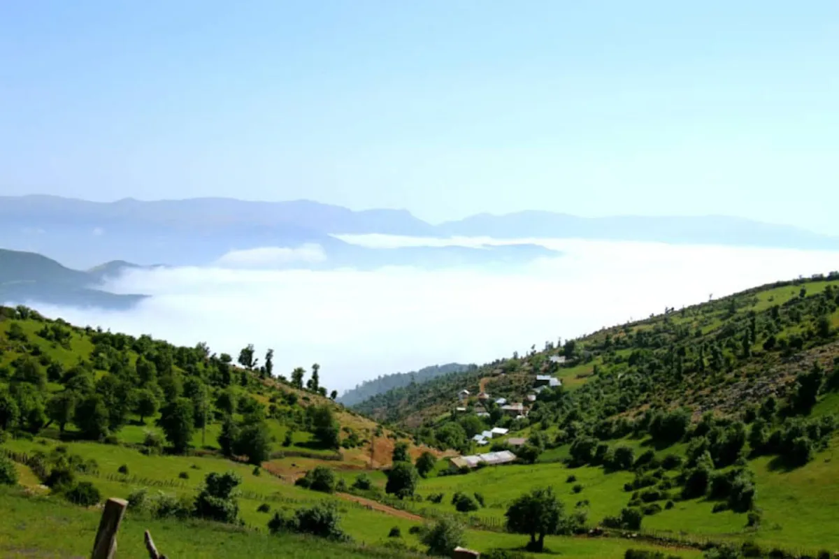 درفک