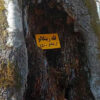 قله زینگالو