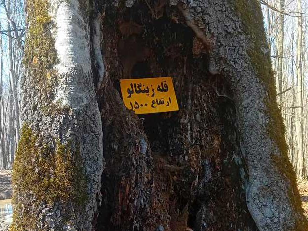 قله زینگالو