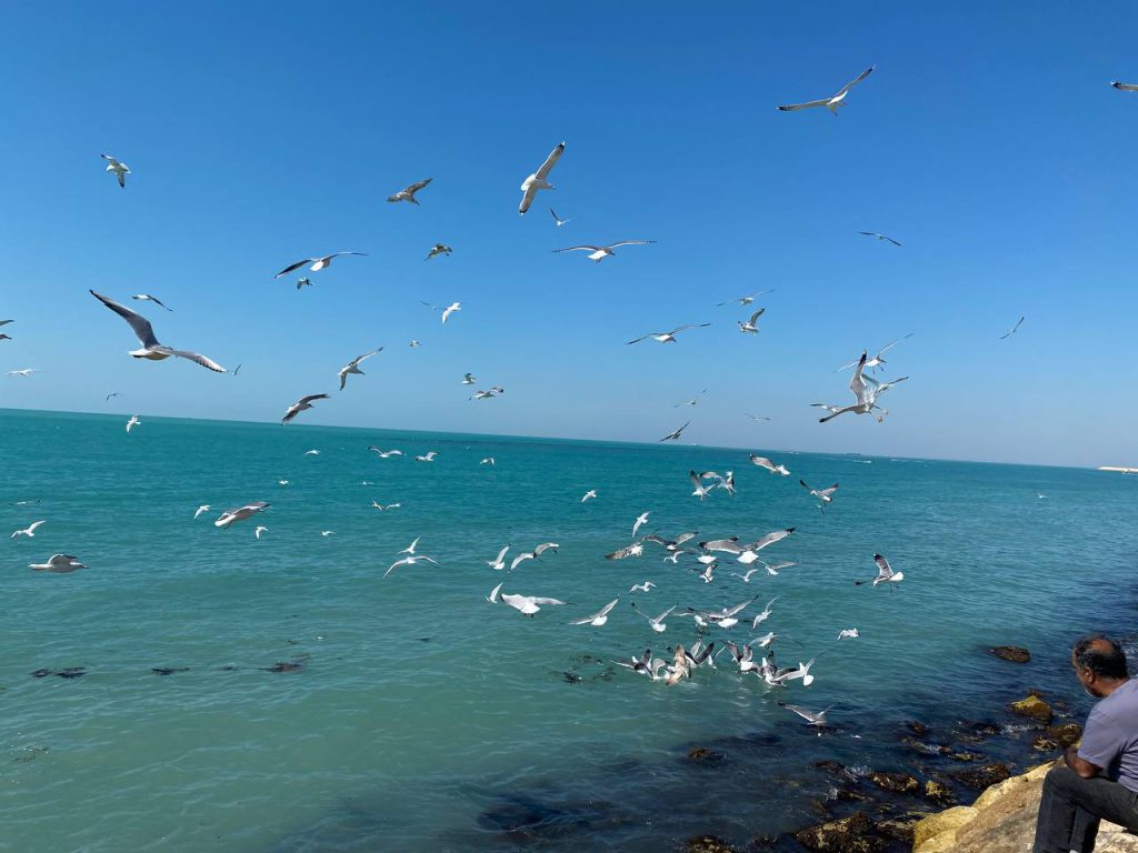 قله بیرمی