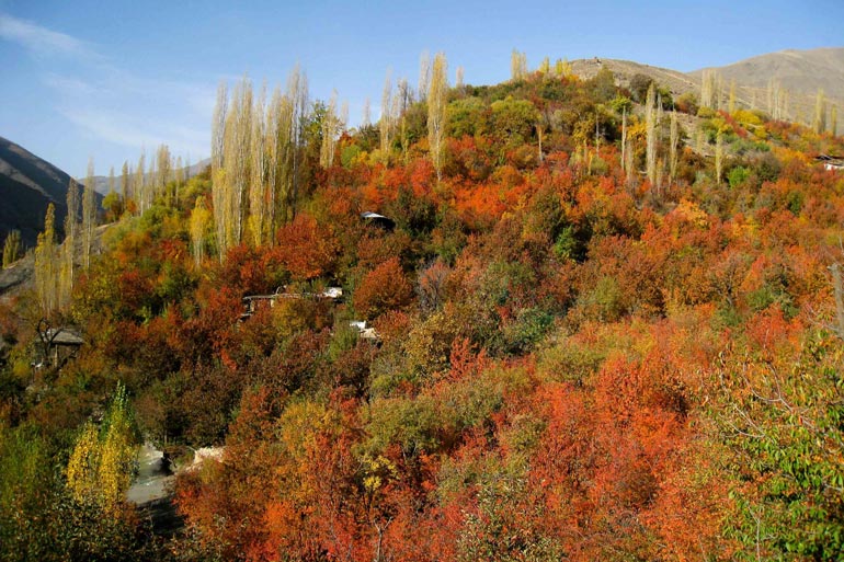 دره زشک